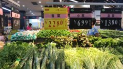 广州农副产品了解武汉种博会精彩亮相，秋季蔬菜展有31个新品获专家推介